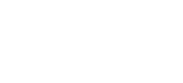 DayLife LLC